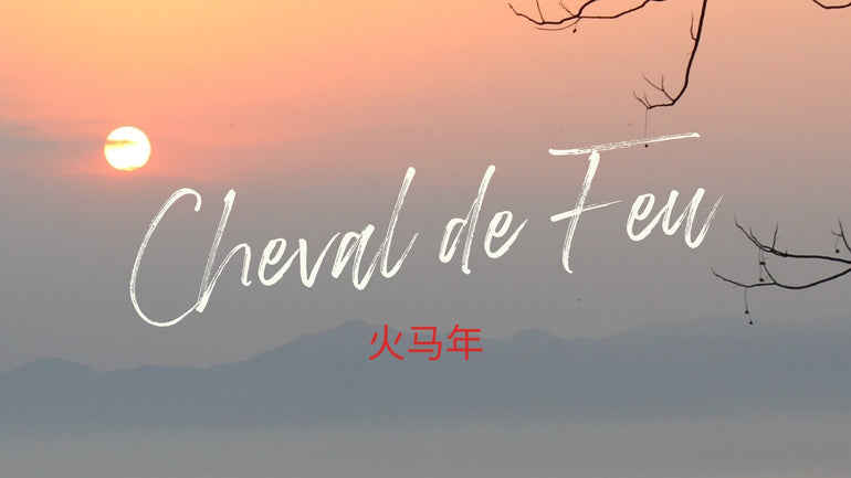 Nouvel An Chinois