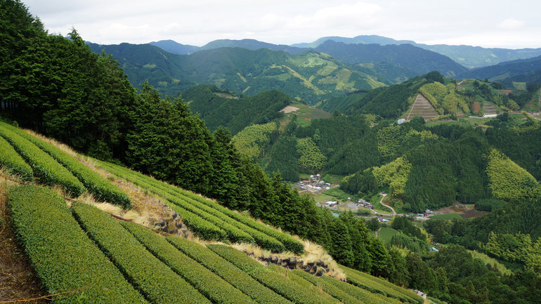 Japon