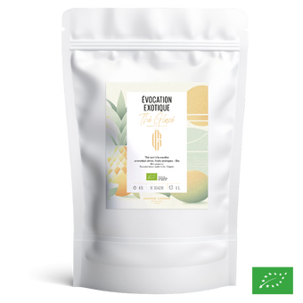 ÉVOCATION EXOTIQUE - Thé vert glacé à la menthe aromatisé citron, fruits exotiques - Bio