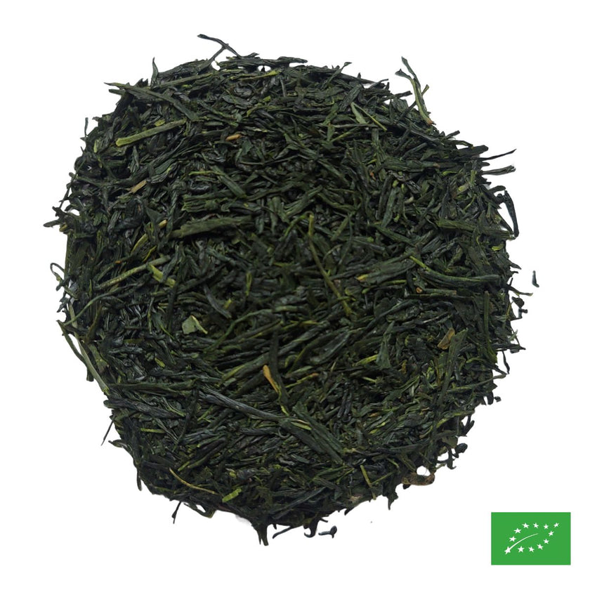 Thé vert du Japon SHINCHA SAEAKARI - Bio