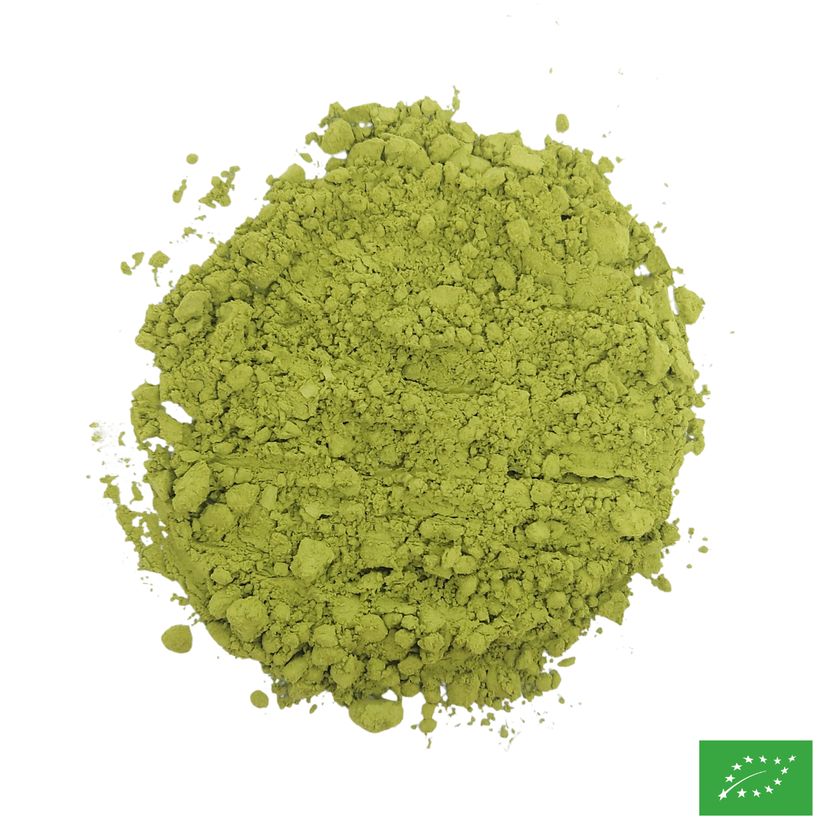 MATCHA - Thé vert d'ombre du Japon - Bio