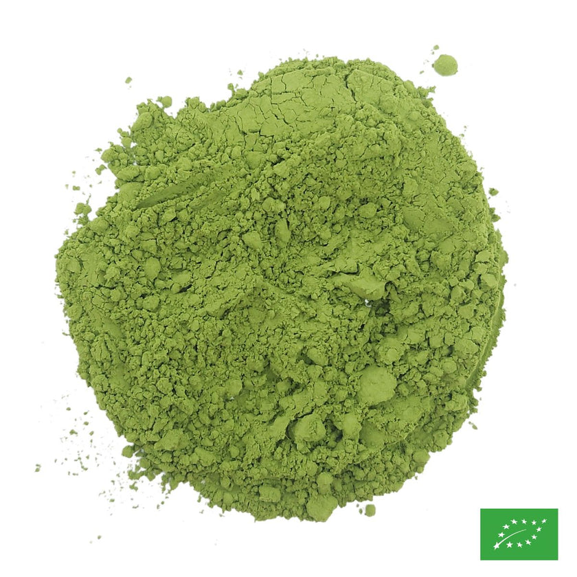 MATCHA CHASHITSU - Thé vert d'ombre du Japon - Bio
