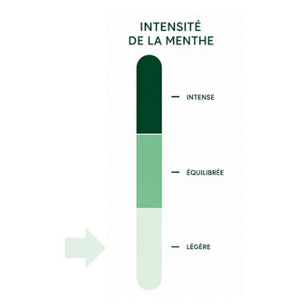 MENTHE DES TROPIQUES - Infusion de citronnelle, de pomme et de menthe, aromatisée à la mangue