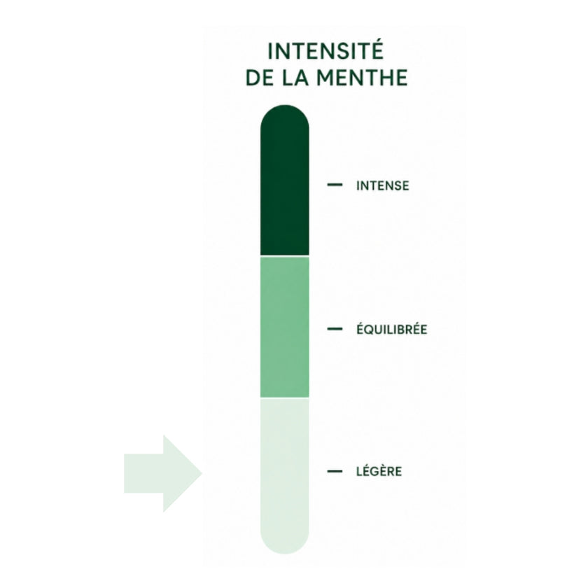 MENTHE DES TROPIQUES - Infusion de citronnelle, de pomme et de menthe, aromatisée à la mangue