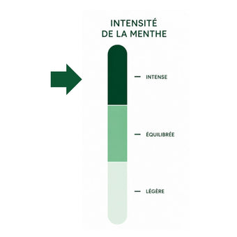 UN INSTANT À TANGER - Thé vert à la menthe aromatisé - Bio