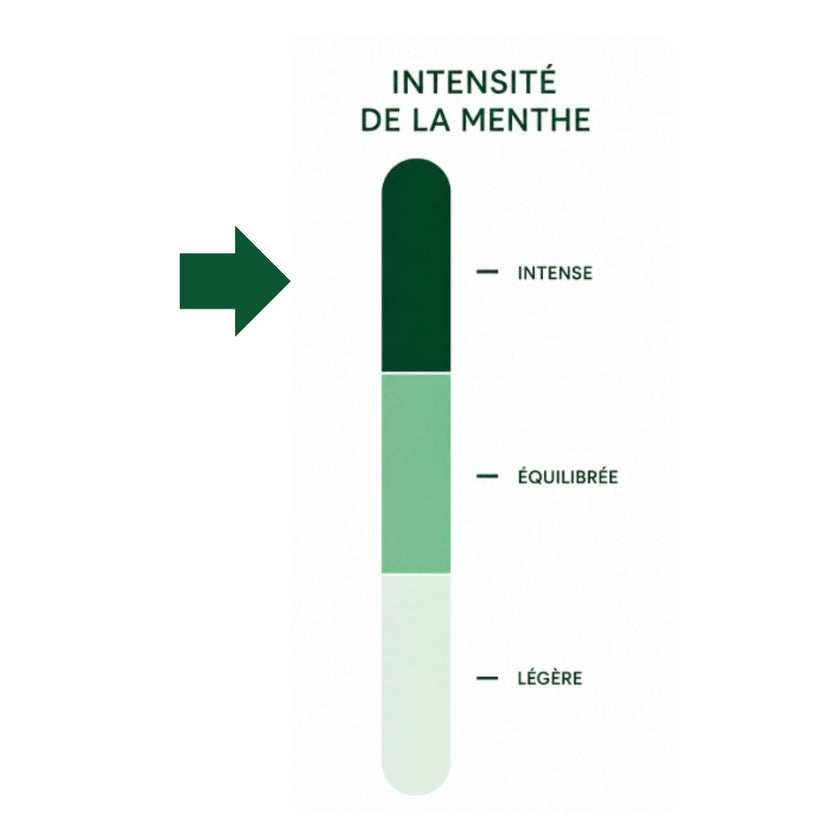 UN INSTANT À TANGER - Thé vert à la menthe aromatisé - Bio